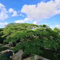 Sunrise Gardens (D28), Condominium #455543391